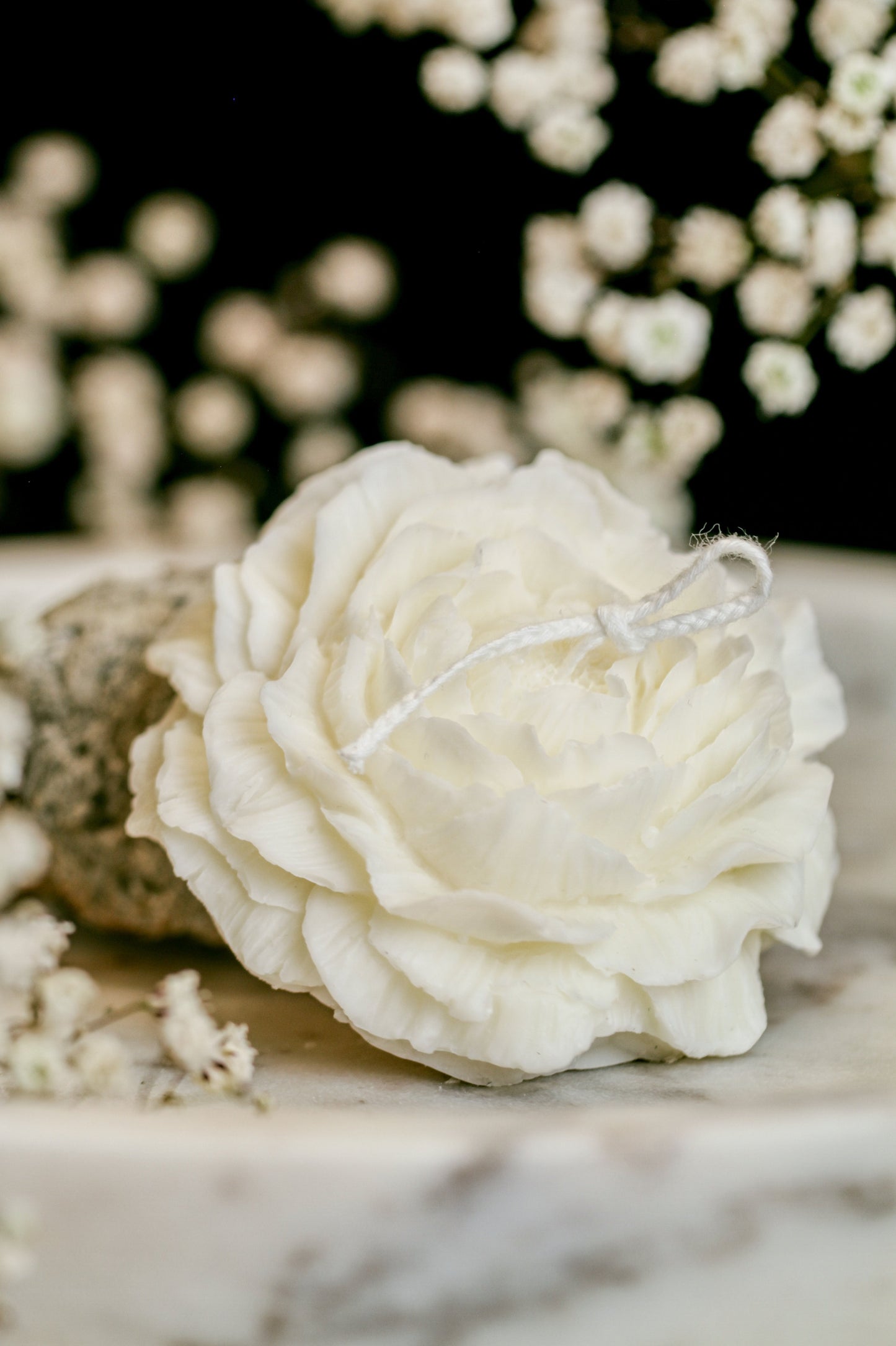 Květ růže-velký