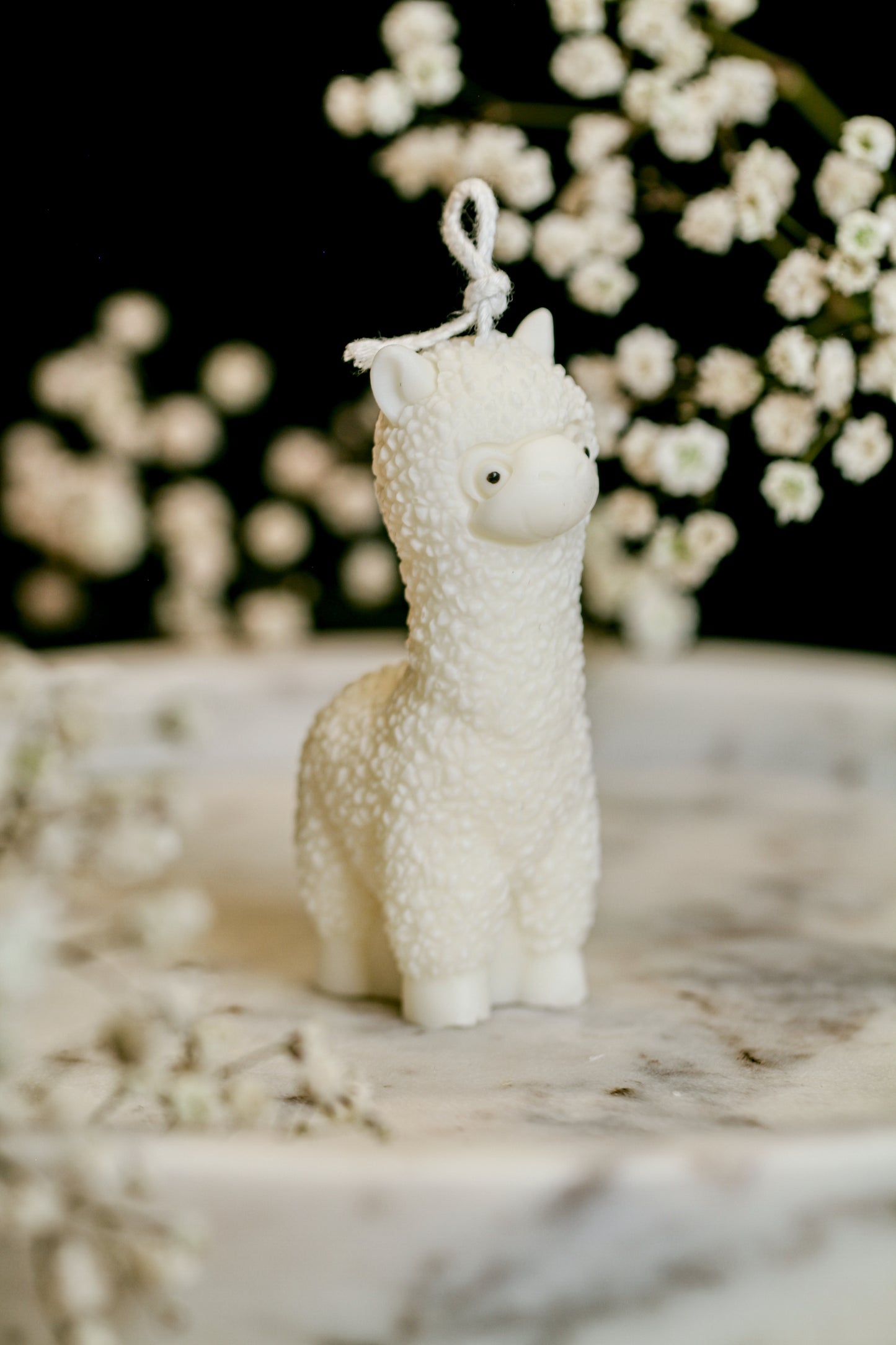 Lama